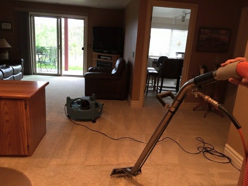 A person is using a vacuum cleaner in a living room
