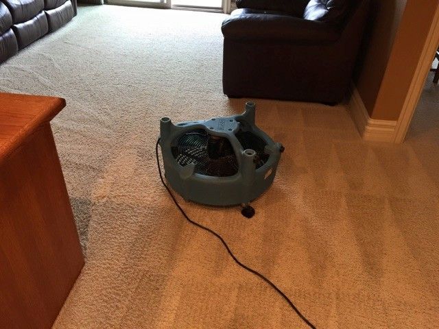 A fan is sitting on the floor in a living room