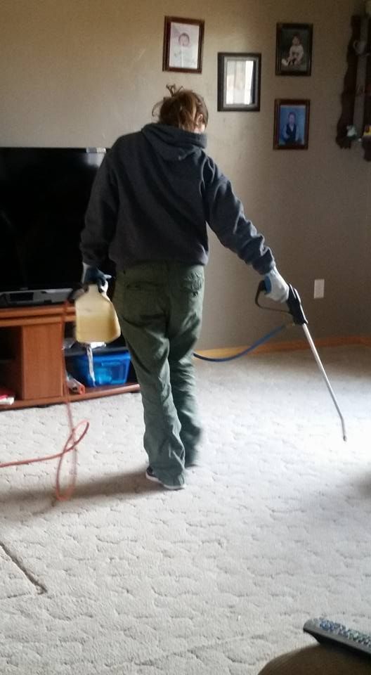 A man is spraying a carpet in a living room.