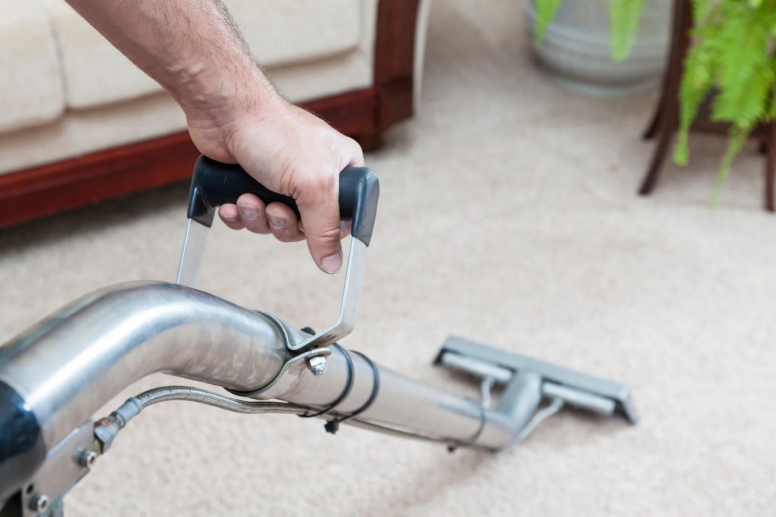 Hand using a carpet cleaner on beige carpet near a couch and plant.