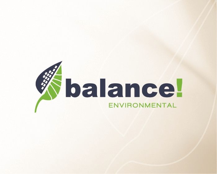 balance environmental logo design
