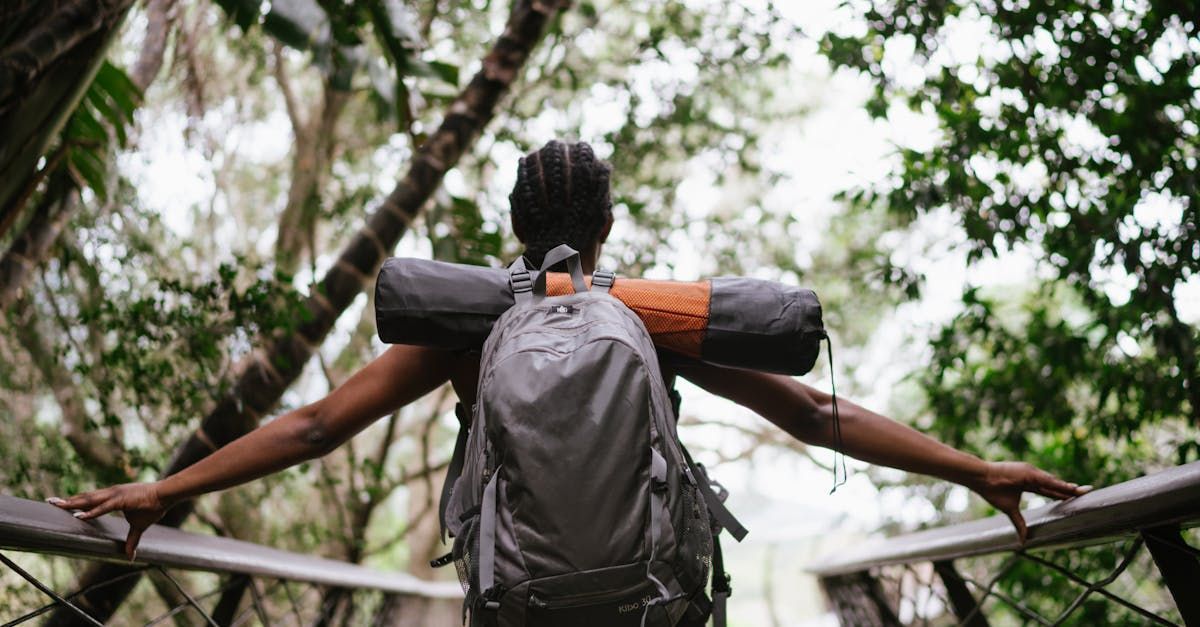 A woman with a backpack is standing on a bridge in the woods.