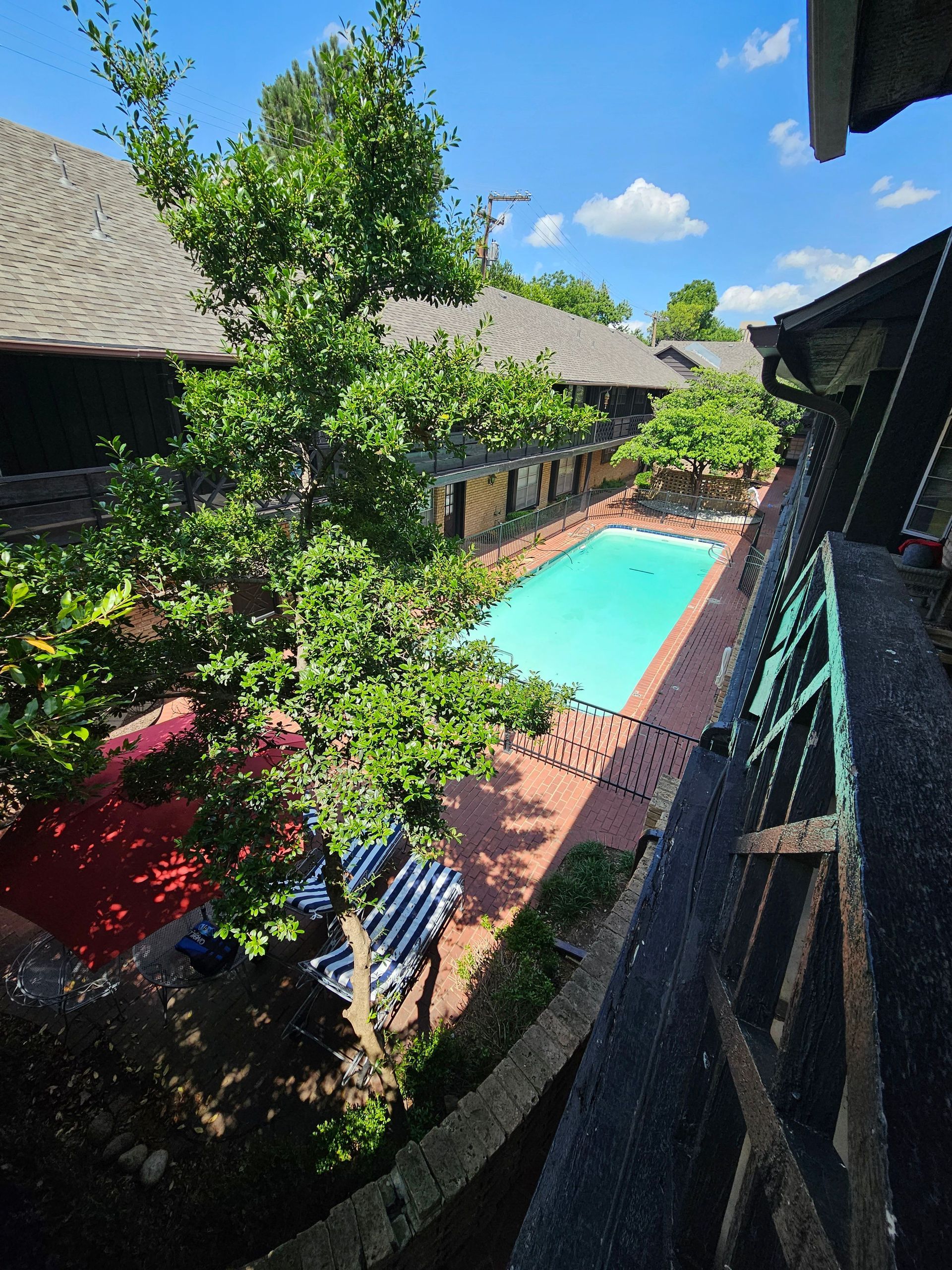 An aerial view of a swimming pool surrounded by trees