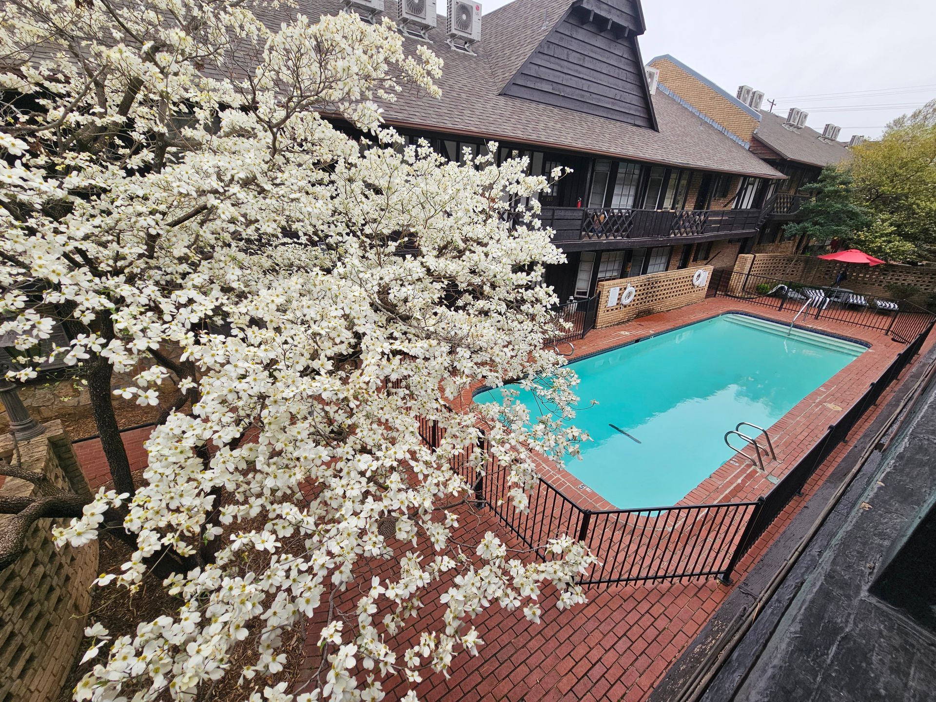 An aerial view of a swimming pool surrounded by trees and flowers.