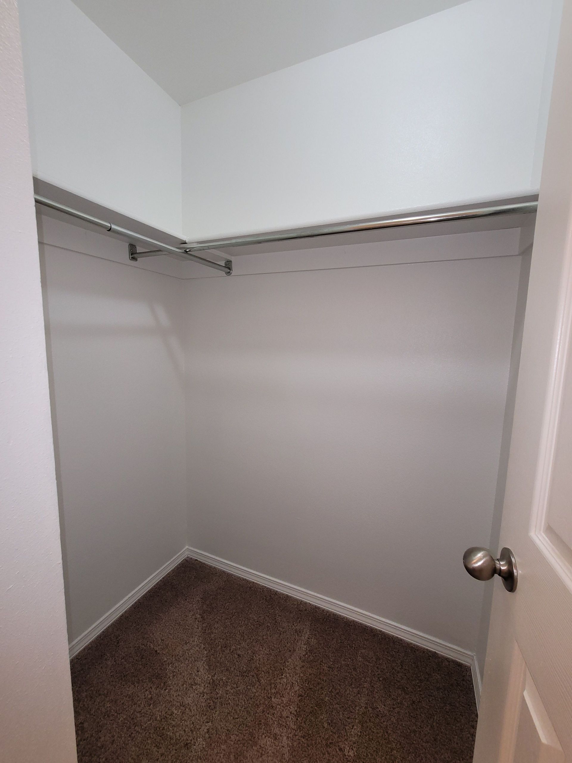 An empty walk in closet with a carpeted floor and a door.