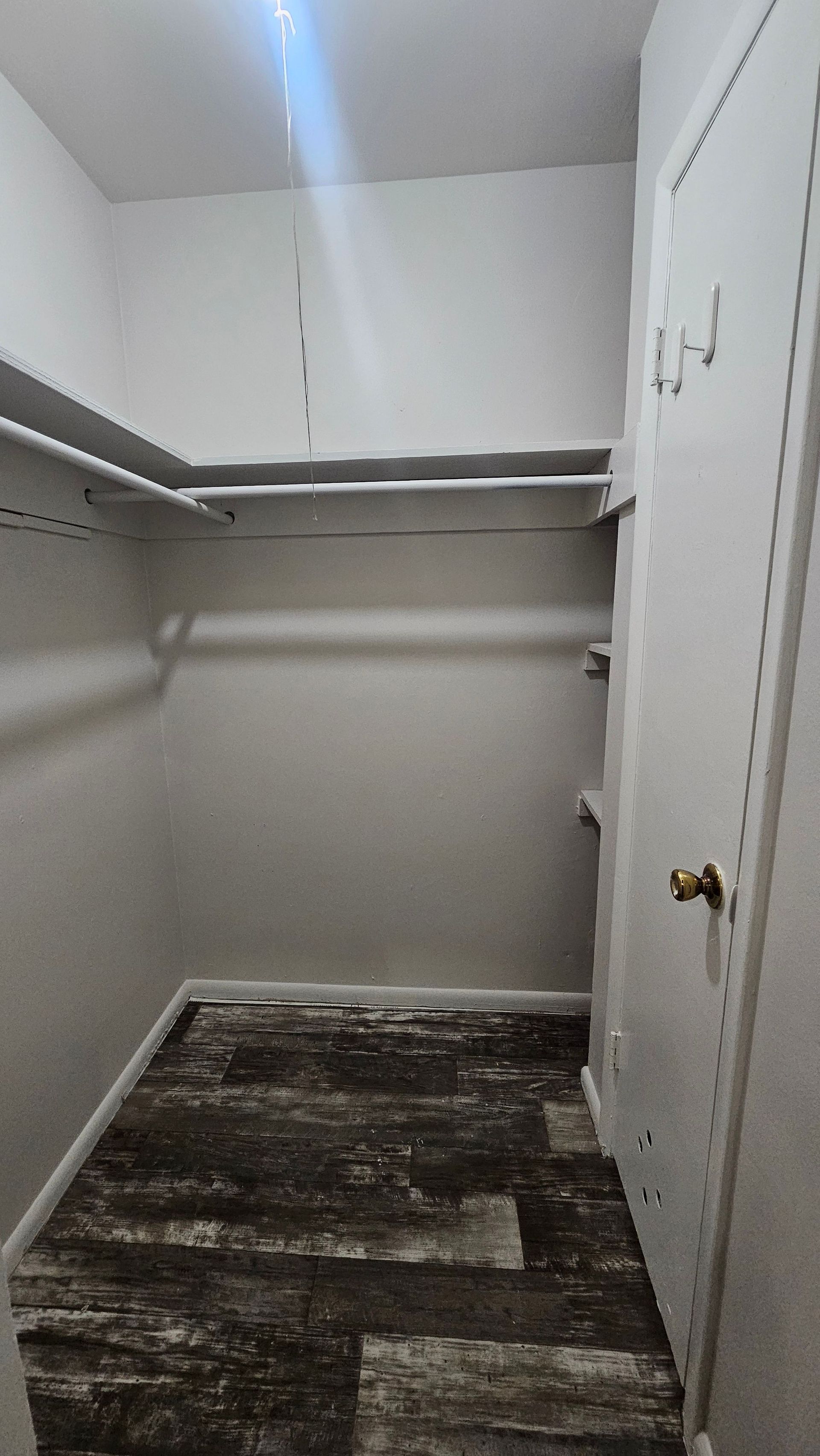 A walk in closet with a rug on the floor and shelves.