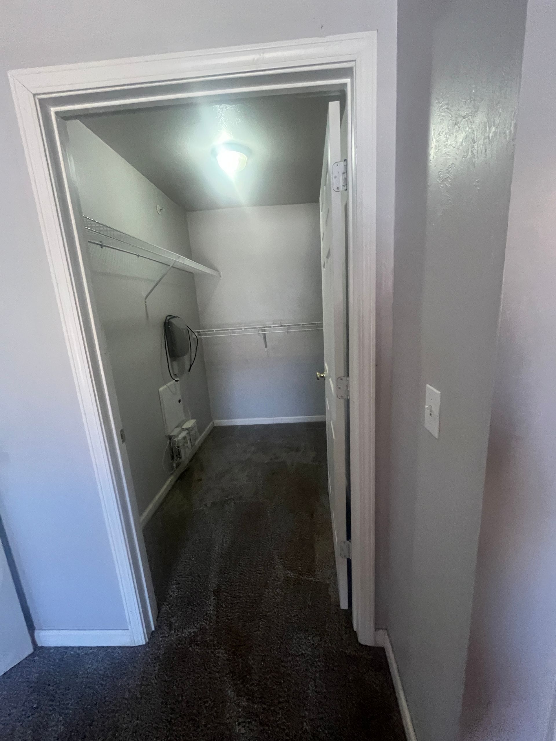 A walk in closet with a door open and a carpeted floor.