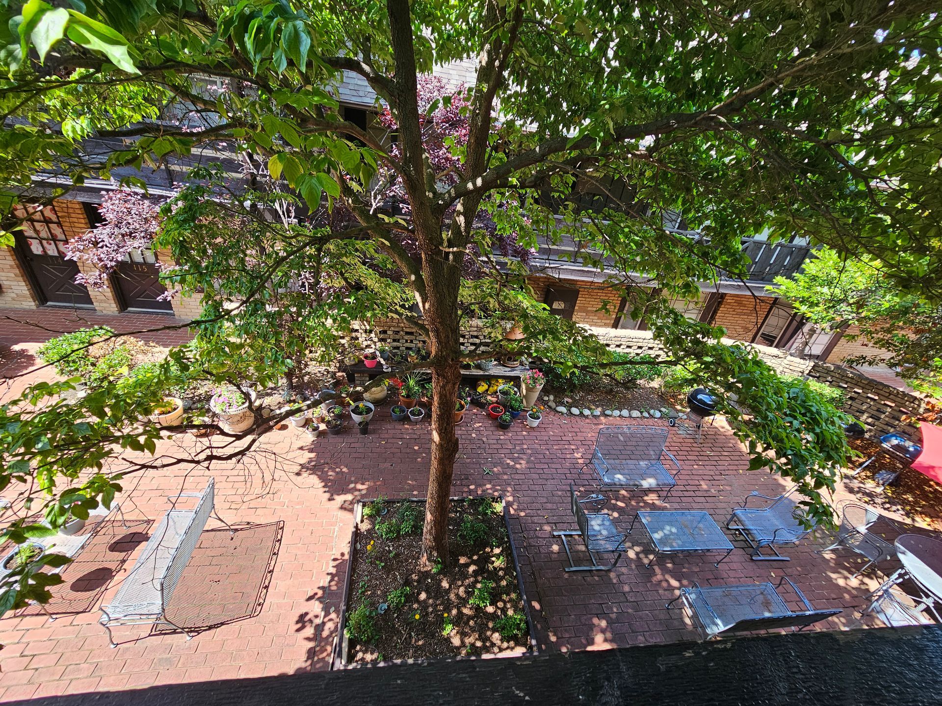 An aerial view of a backyard with a tree and patio furniture.