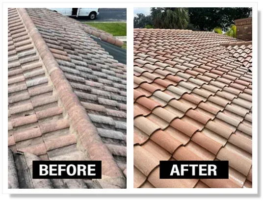 Before and after roof cleaning