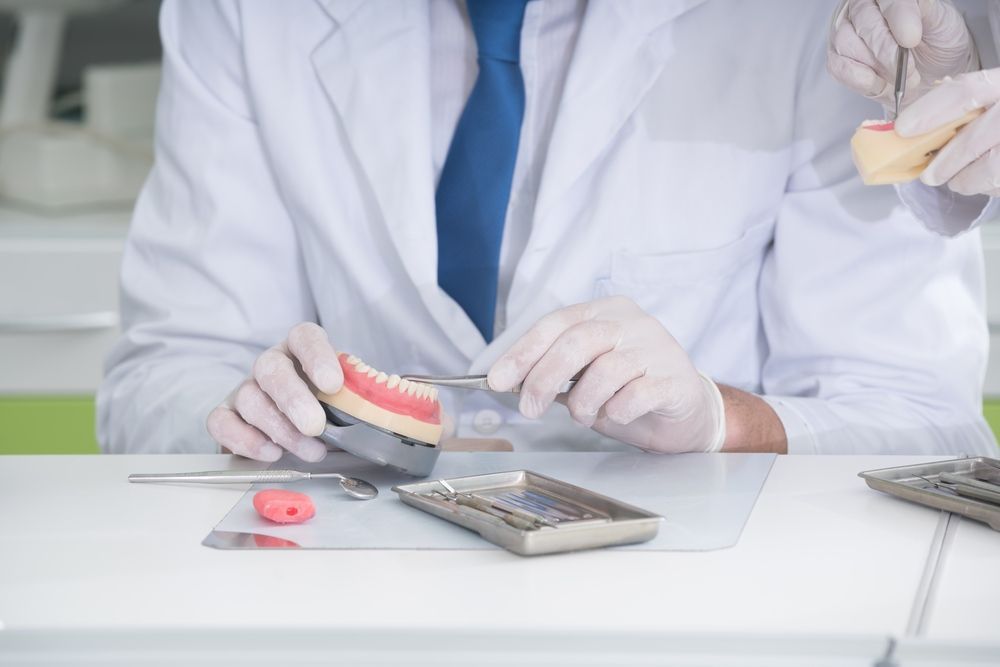 A Dentist Is Working On A Model Of A Person 's Teeth — Tweed City Dental in Tweed Heads South, NSW