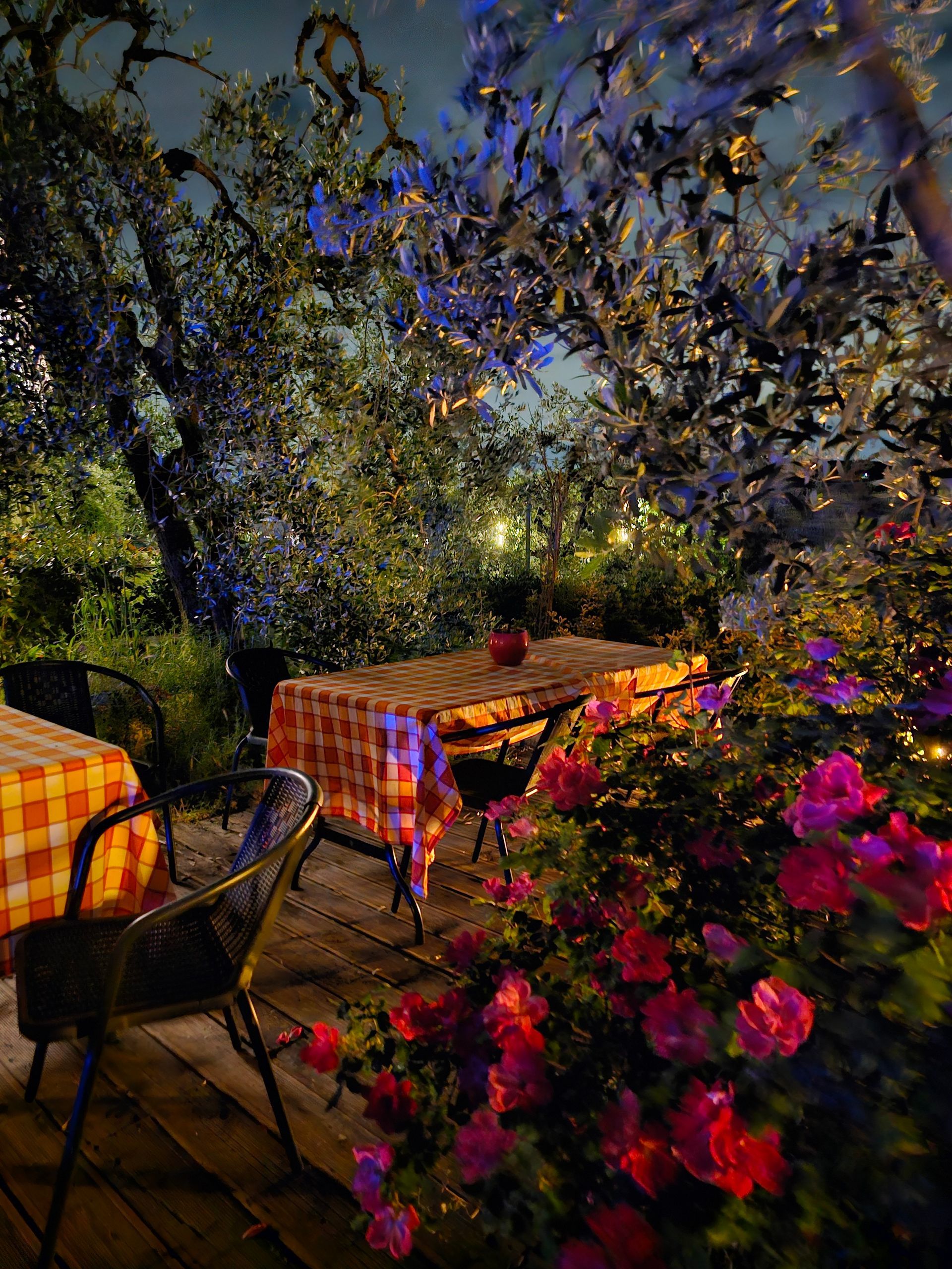 Ristorante pizzeria Terramare location foto 3