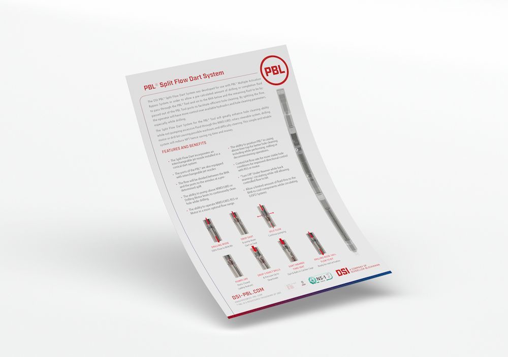 A thumbnail image of The DSI PBL Split FLow Dart system
