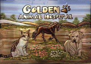 Puppy and kitten — Pet Hospital In Golden, Colorado