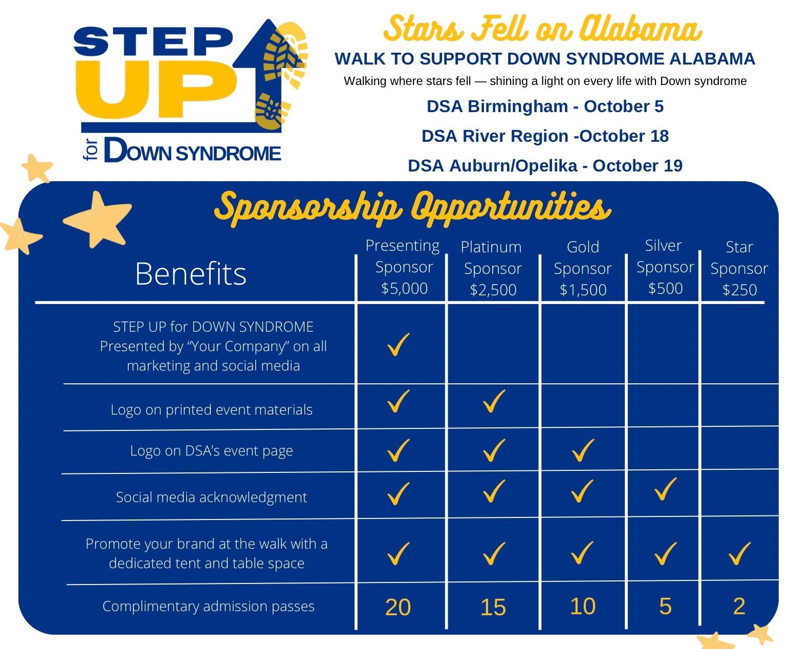 Step Up for DS Sponsorship BHam