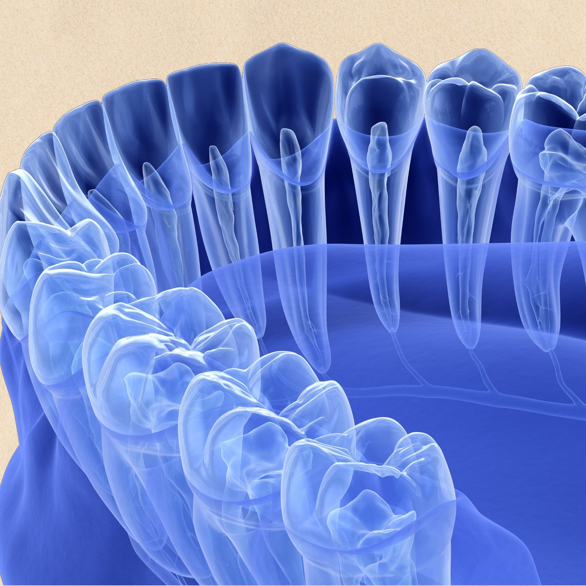 A computer generated image of a person's teeth