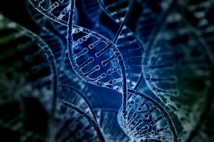 Blue-tinted DNA helix structure visualization for 'Disease Education Pages'