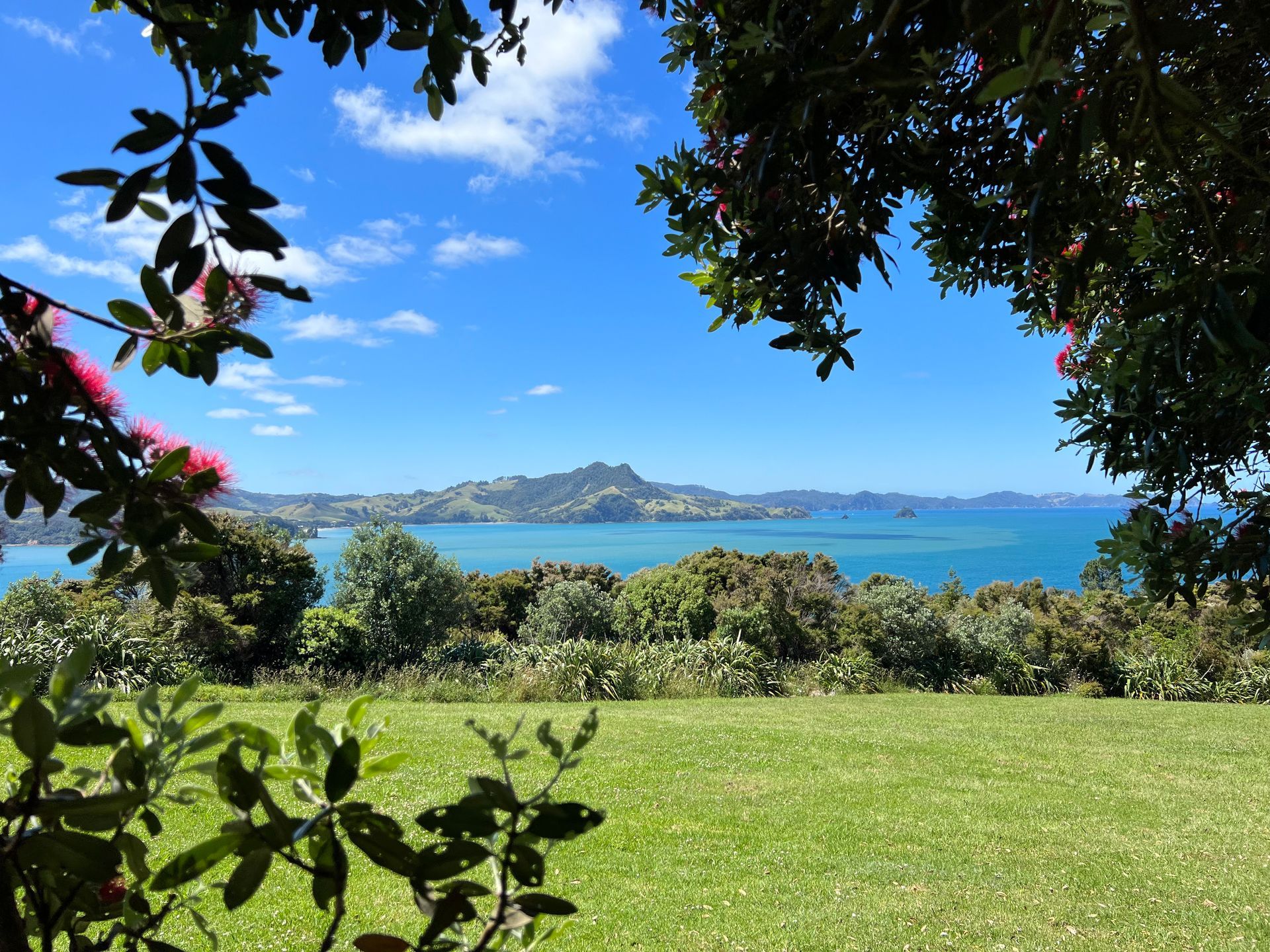 Shakespeare Cliff New Zealand Wedding location
