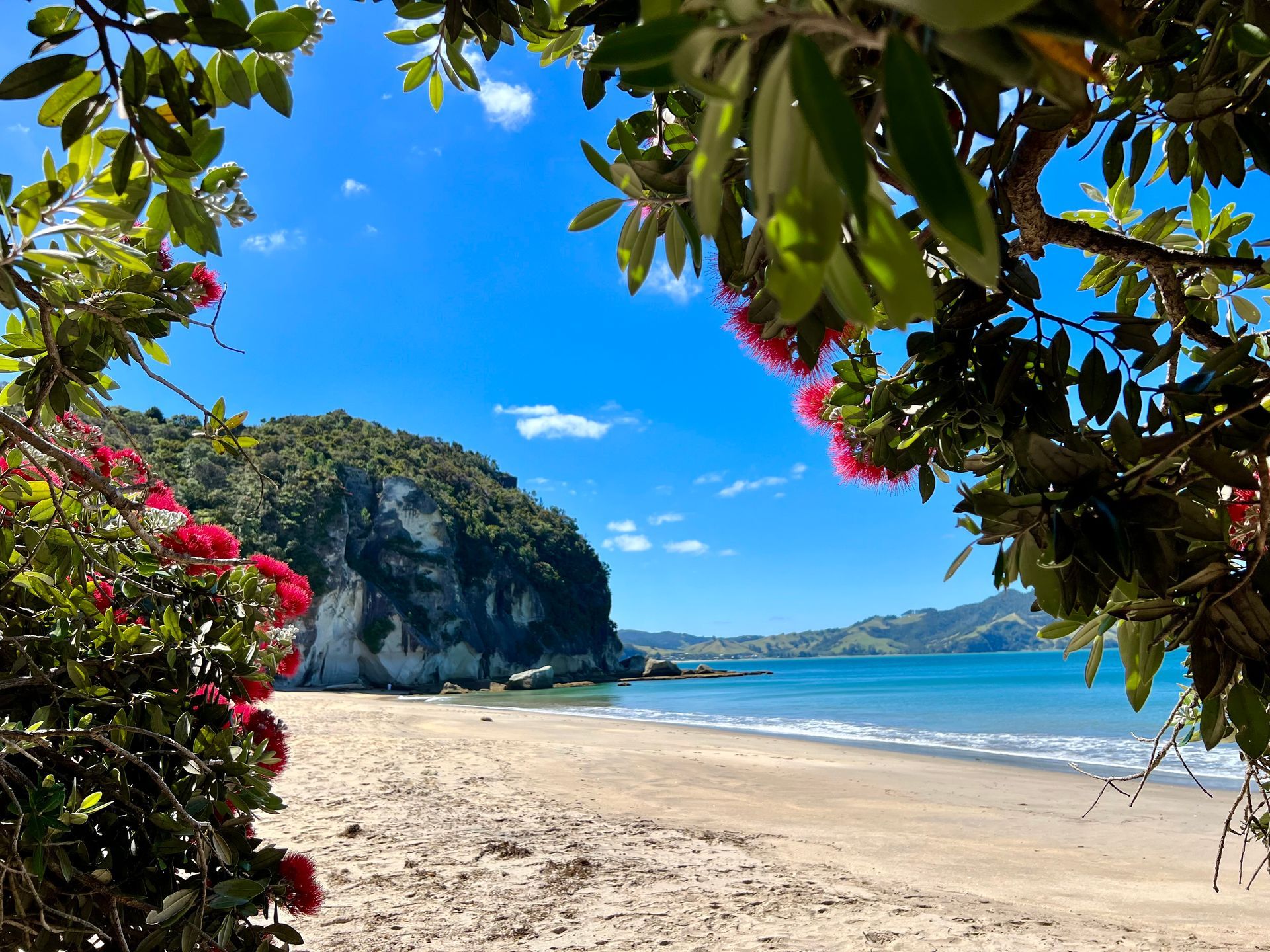 Strandhochzeit Neuseeland