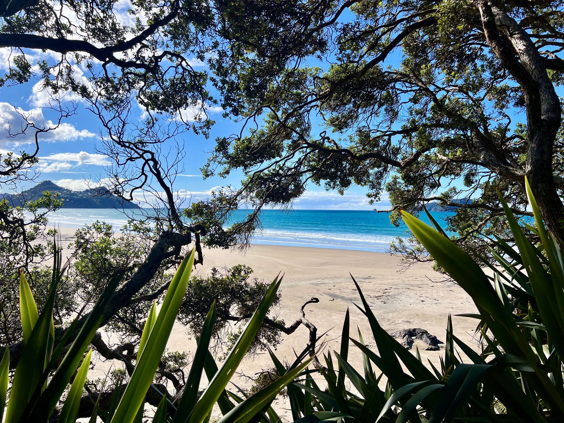 Pauanui Beach