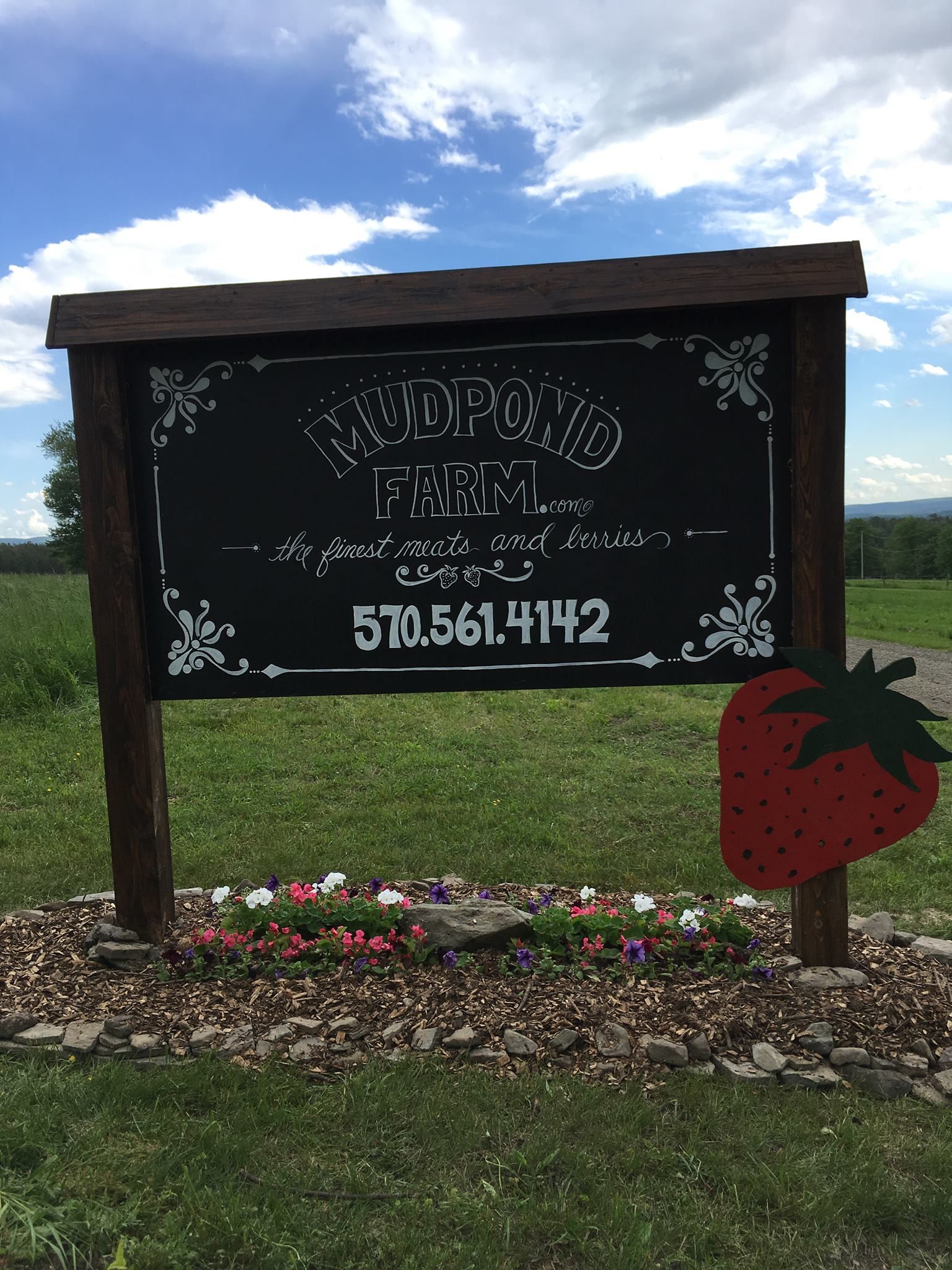 A sign with a strawberry on it is in a field.