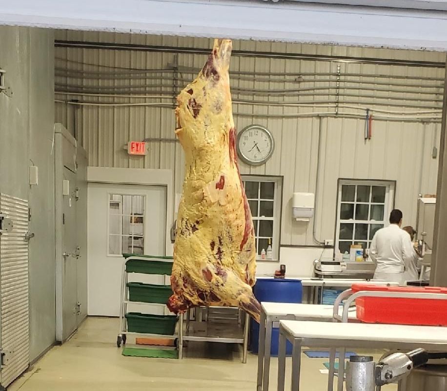 A large piece of meat is hanging from the ceiling in a butcher shop.