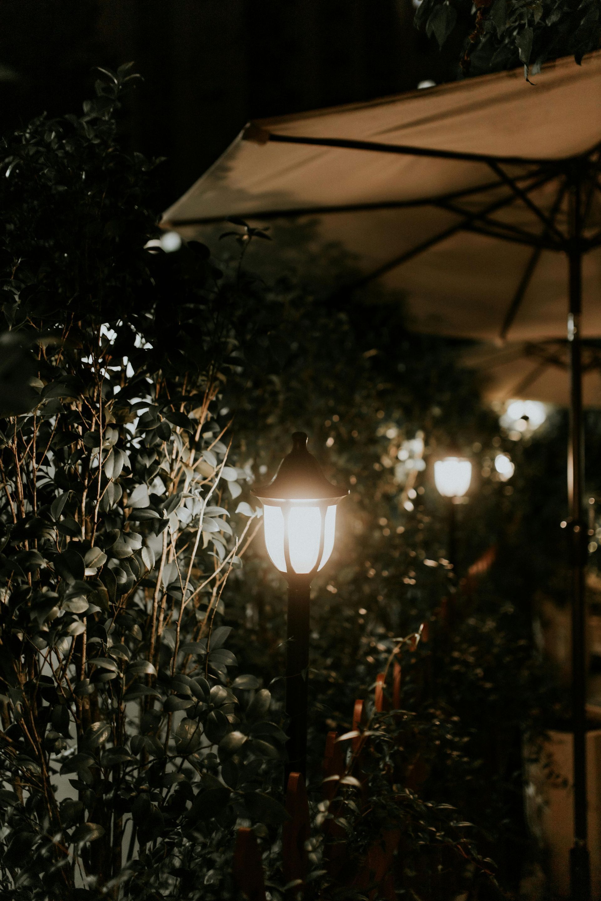 Landscaping lighting home or business