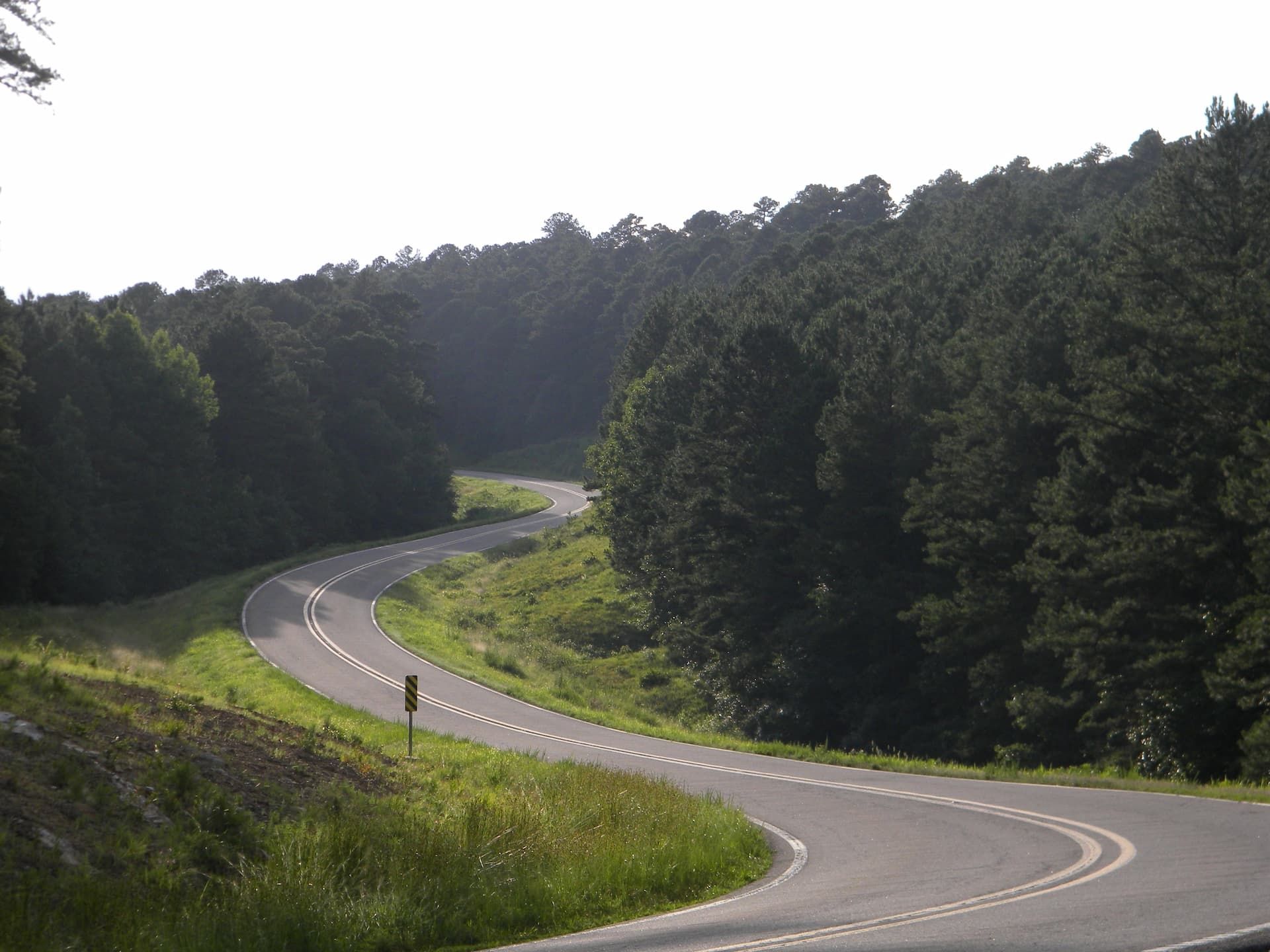 A winding asphalt road curves through a dense, lush green forest under clear daylight.