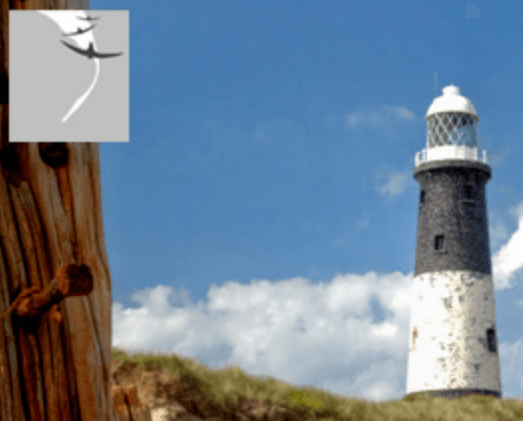 MIGfest and migratory bird watching