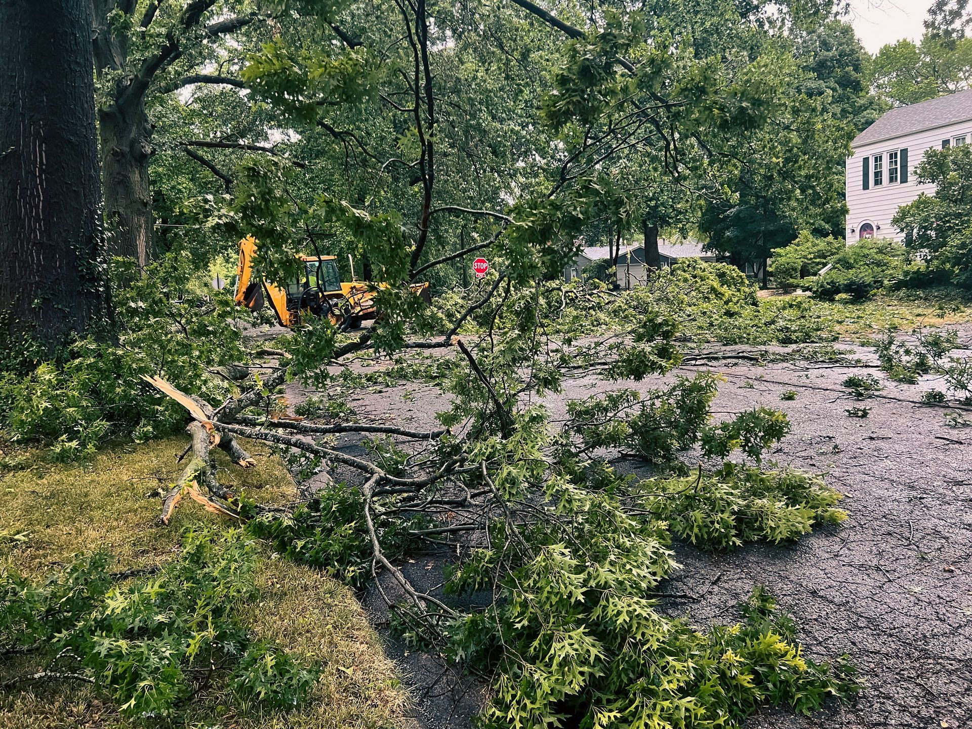 Fallen tree limbs on a wet road, with a yellow construction vehicle and a house in the background.