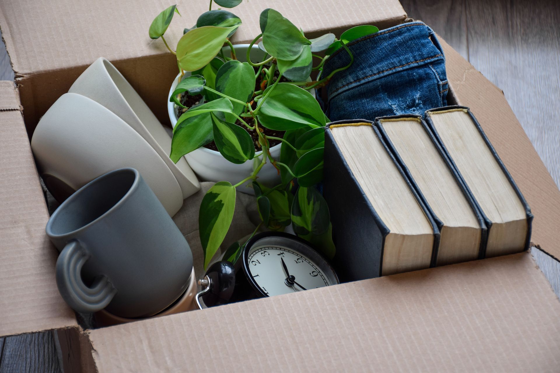 Cardboard box filled with items: books, plant, mugs, jeans, clock.