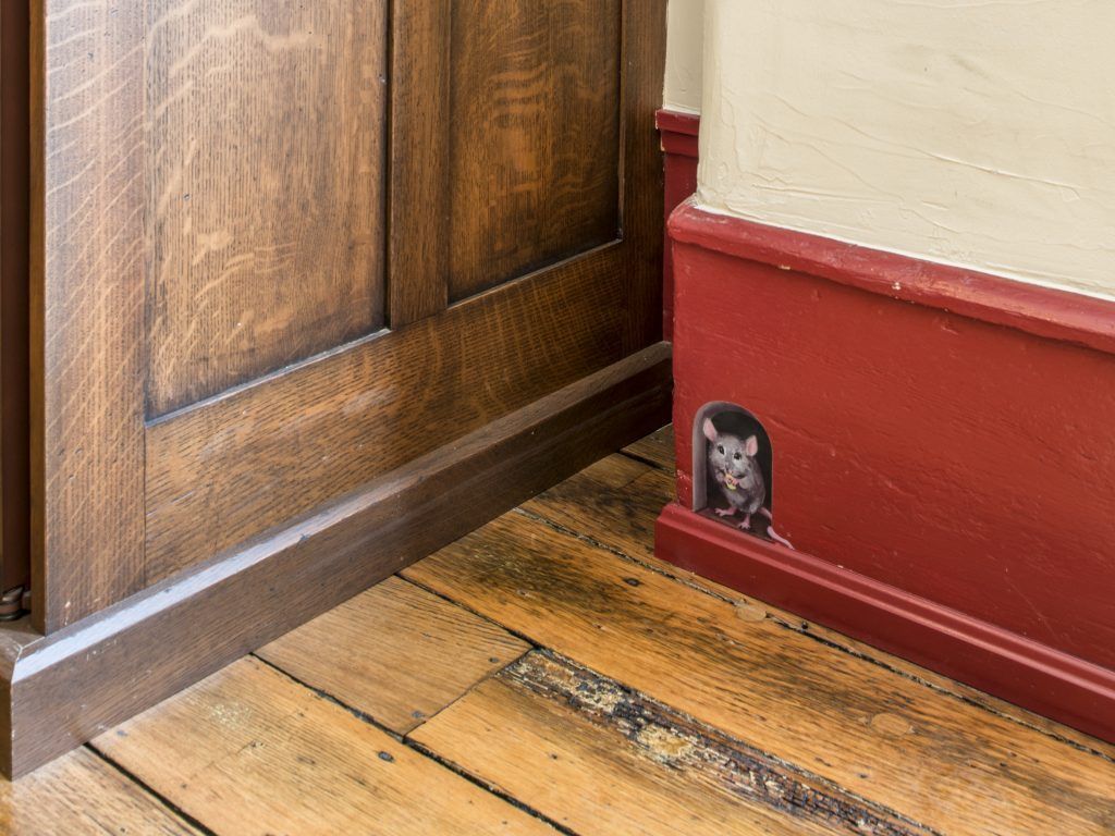 A prop mouse is sticking its head out of a hole in the floor.