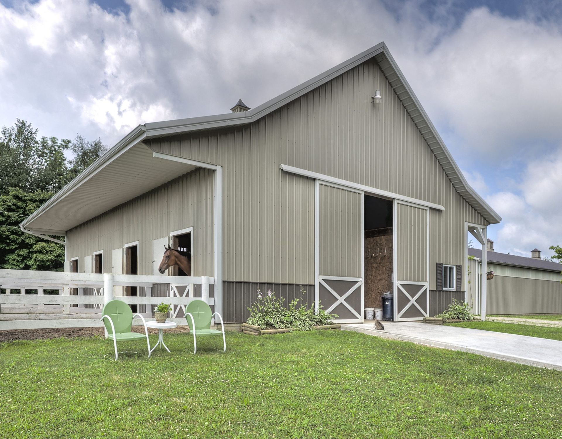 A horse is standing in the doorway of a barn.