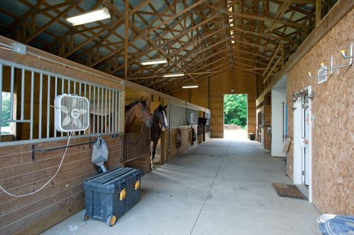 A horse is standing in a stable with a fan on the wall.