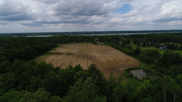 An aerial view of a field surrounded by trees and a lake.