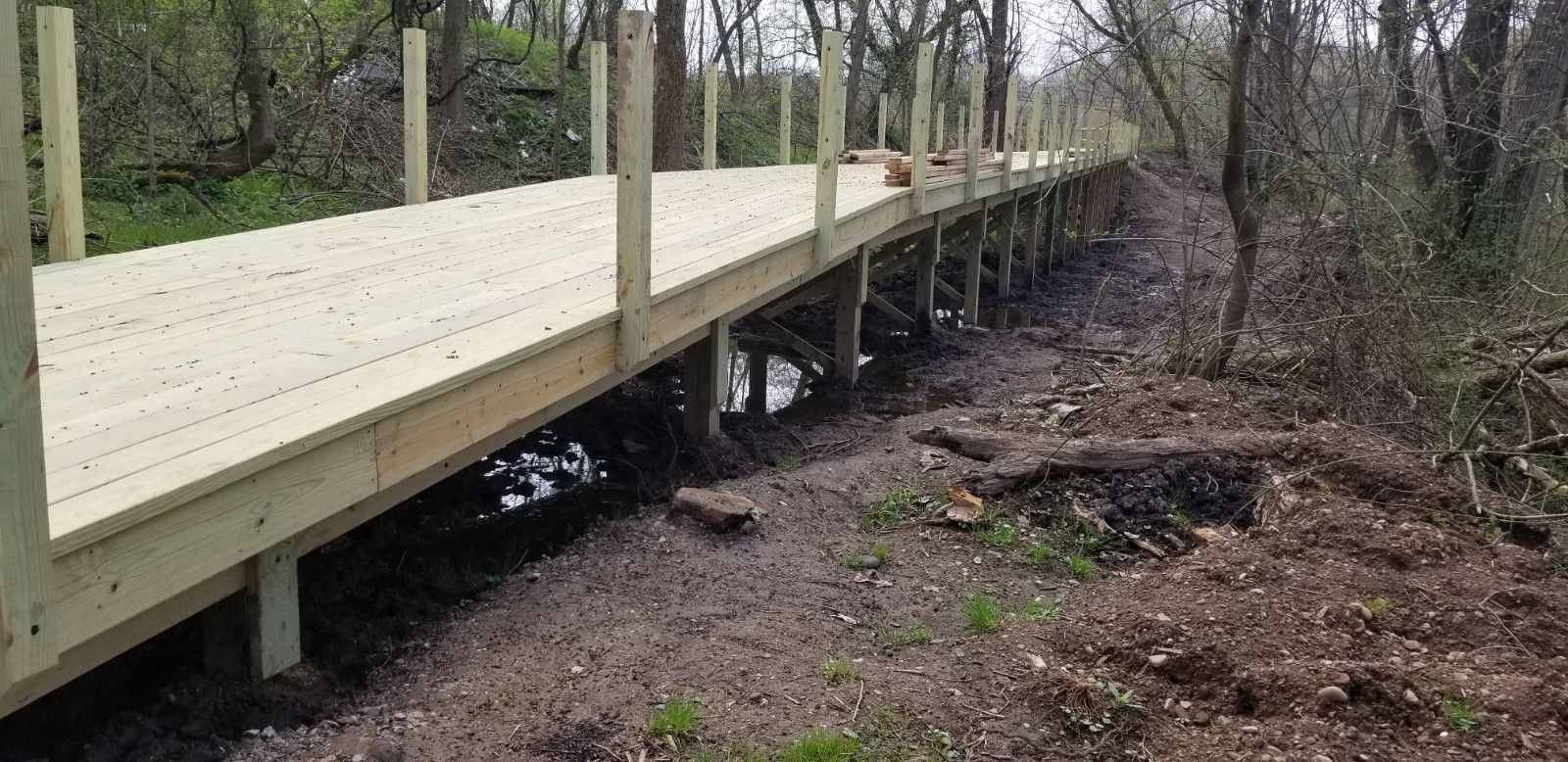 A wooden bridge in the middle of a forest.