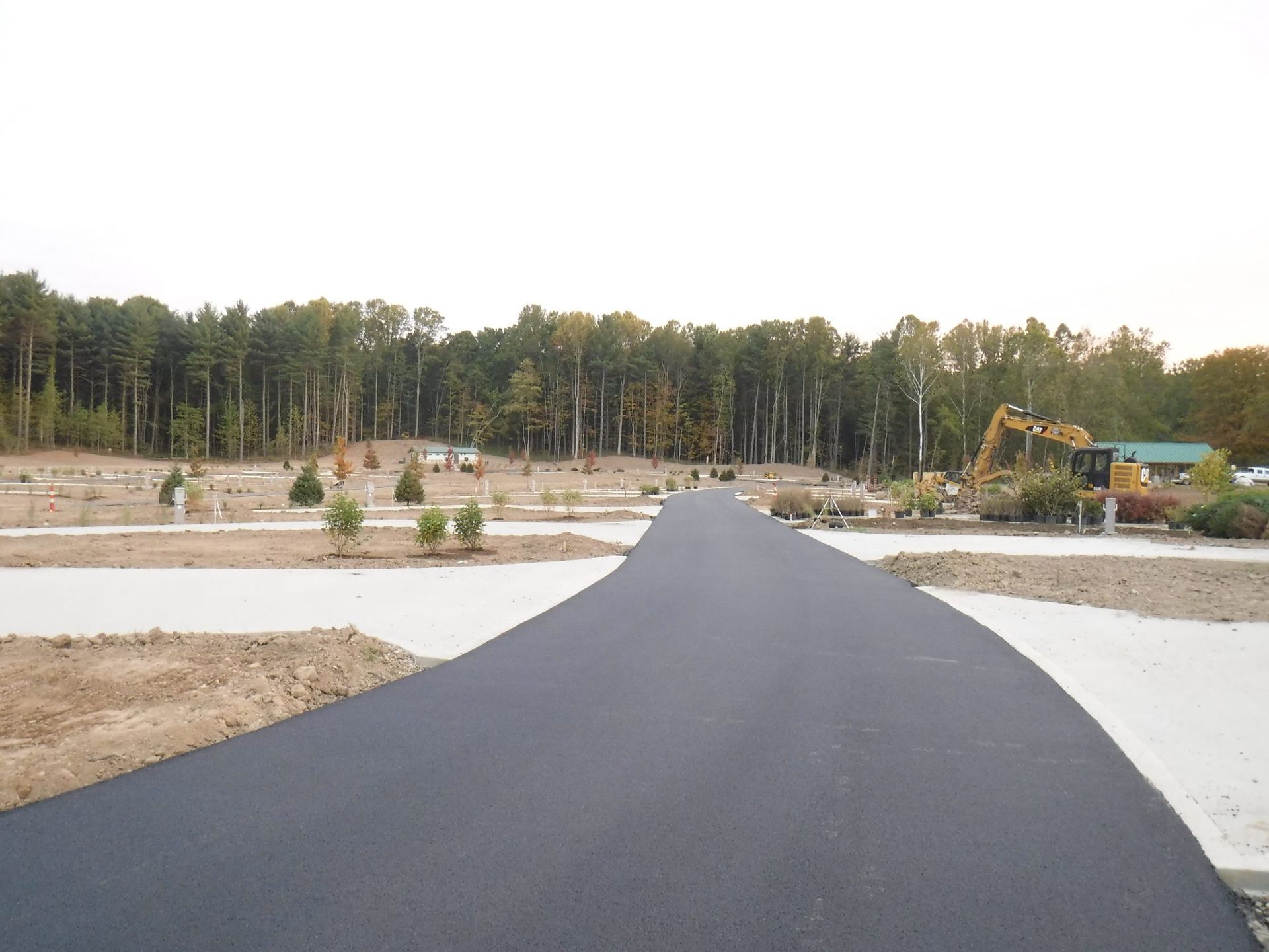A road with a lot of trees on the side of it.