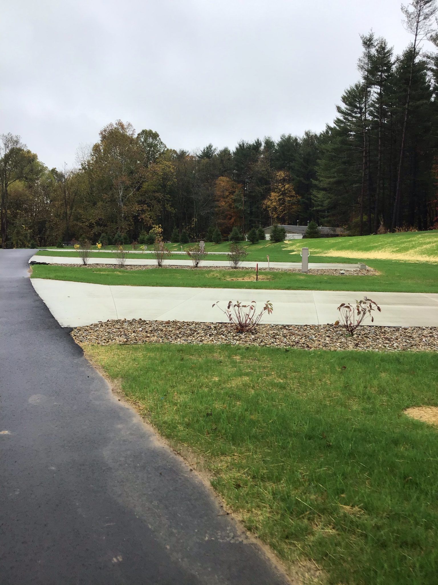 A road going through a park with trees in the background.
