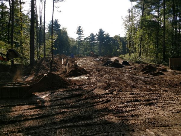 A dirt road in the middle of a forest.