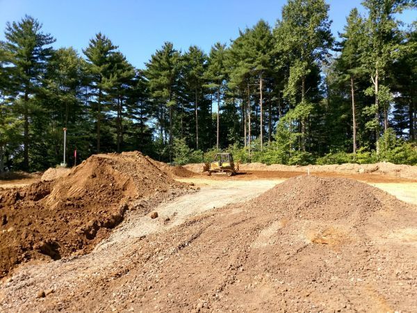 A pile of dirt is in the middle of a forest