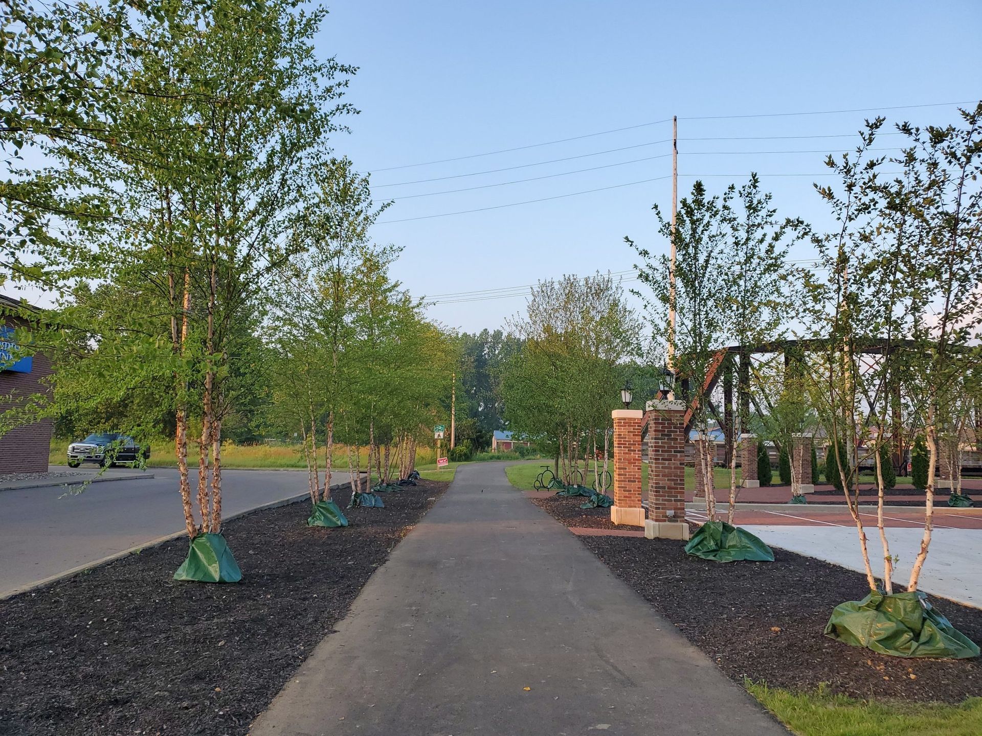A row of trees along a path in a park.