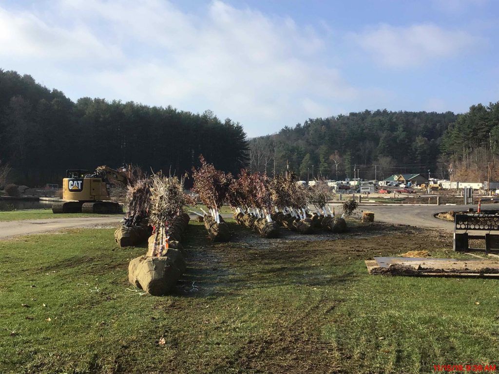 A cat excavator is parked in a field with trees in the background.