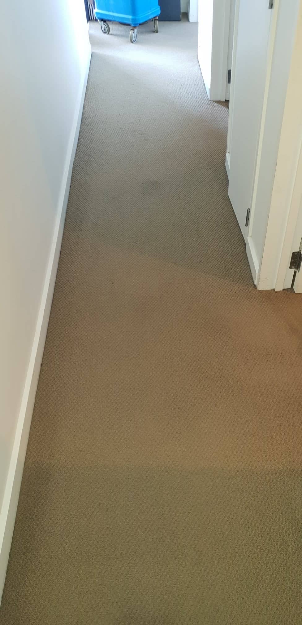 Carpet Cleaning After Service