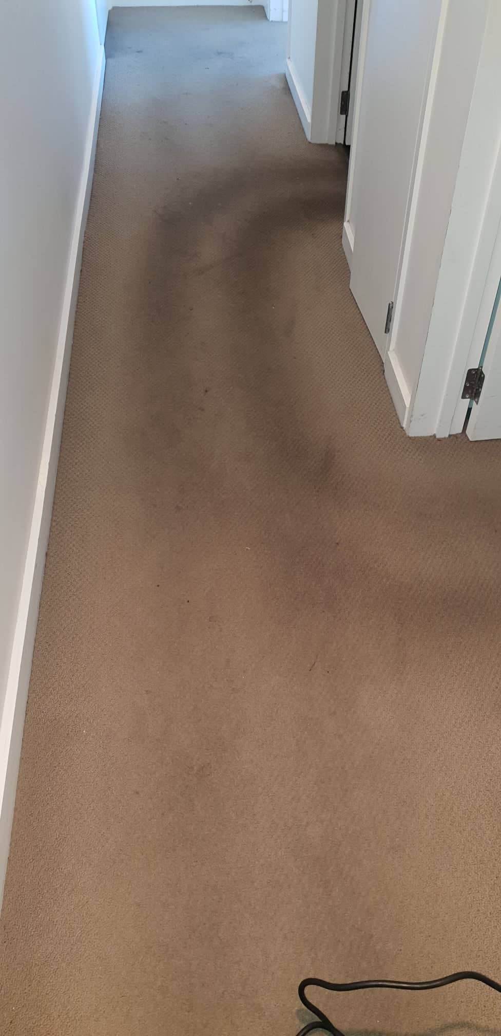 Carpet Cleaning After Before