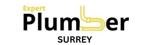 Expert Plumber Surrey logo