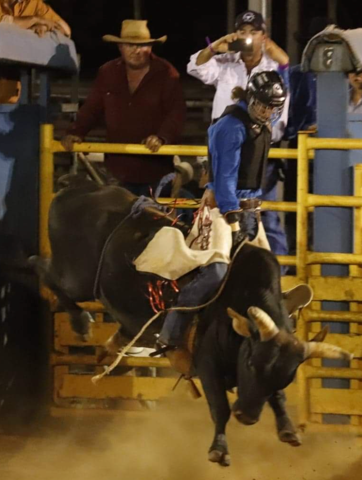 Crane Lifting Green Container — Refrigeration in Berrimah, NT