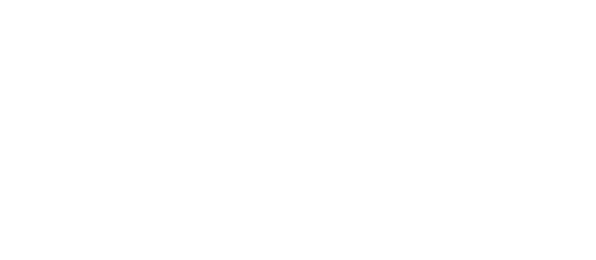 NICOLETTA PARRUCCHIERI - LOGO