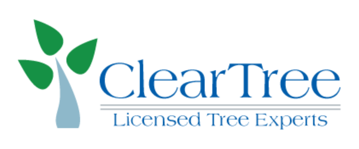 ClearTree Licensed Tree Experts