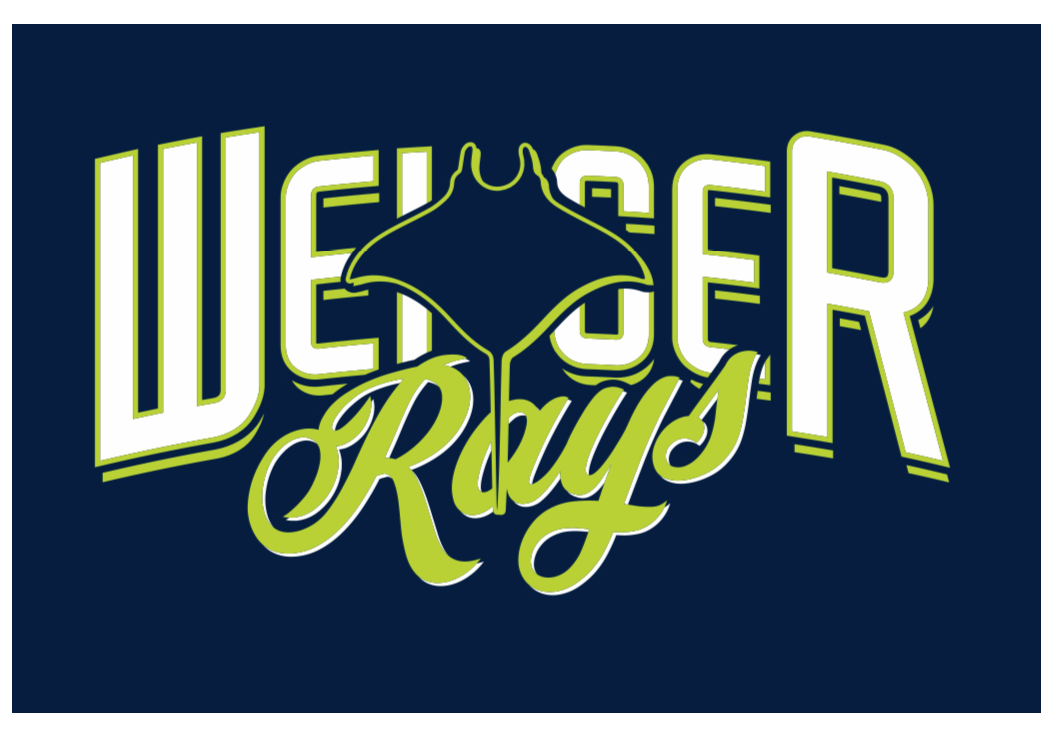 The weser rays logo is glowing in the dark on a blue background.