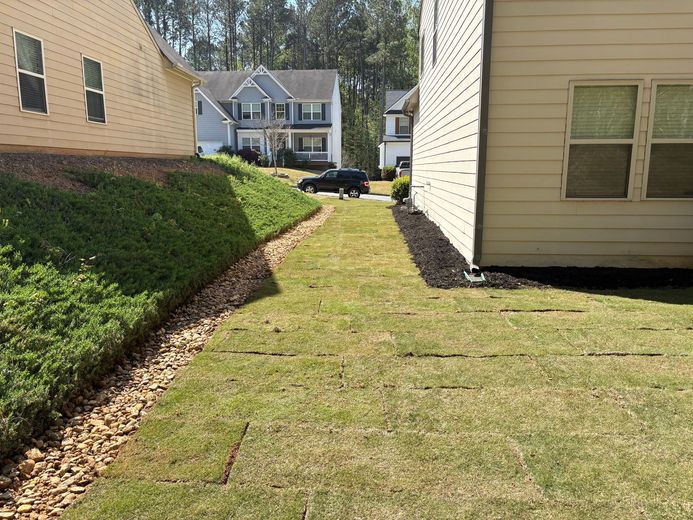 Grassy yard between two houses, with a car in the distance on a residential street, and a sloped grassy bank on the left.