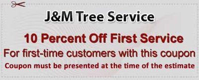 10% off first service